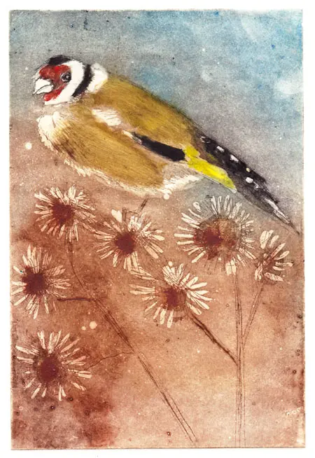 Barbara Wichers Hoeth, Distelvink of Puttertje, 225 euro, Etching in frame with glass, 18x24 cm