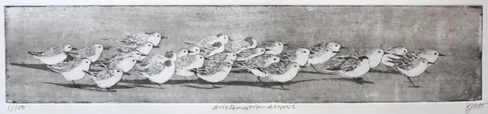 Barbara Wichers Hoeth, Drieteenstrandloper, 275 euro, Etching in frame with glass, 17x50 cm