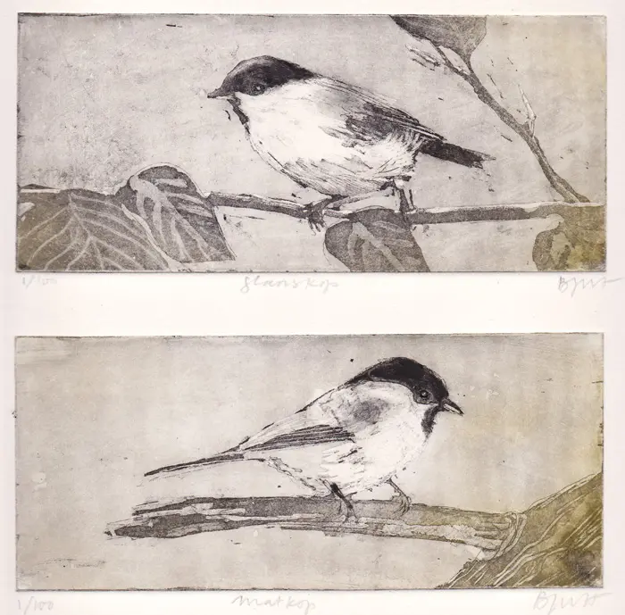 Barbara Wichers Hoeth, Glanskop en matkop, 275 euro, Etching in frame with glass, 30x25 cm