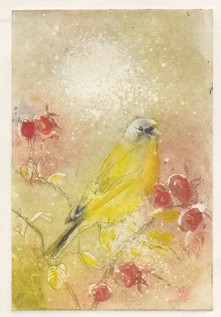 Barbara Wichers Hoeth, Groenling op rozenbottel, 225 euro, Etching in mount and frame with glass, 25x20 cm