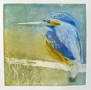 Barbara Wichers Hoeth, IJsvogel, Etching in frame with glass, 20x20 cm, €.195,-