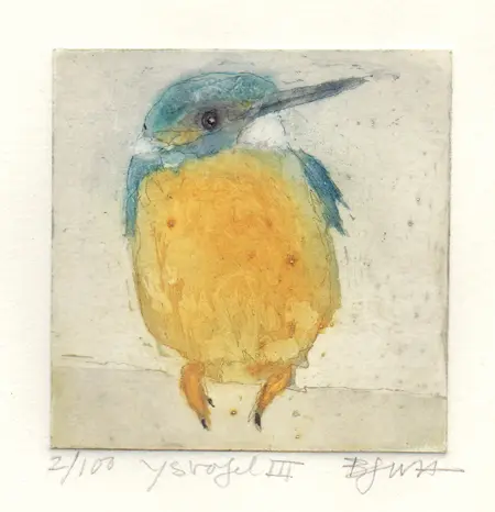 Barbara Wichers Hoeth, IJsvogel III, 225 euro, Etching in frame with glass, 20x20 cm