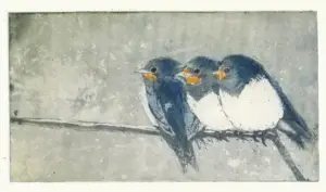 Barbara Wichers Hoeth, Jonge boeren zwaluwen II, 225 euro, Etching in frame with glass, 30x20 cm