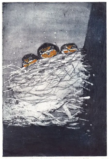 Barbara Wichers Hoeth, Jonge boeren zwaluwen in nest, 225 euro, Etching in frame with glass, 18x24 cm