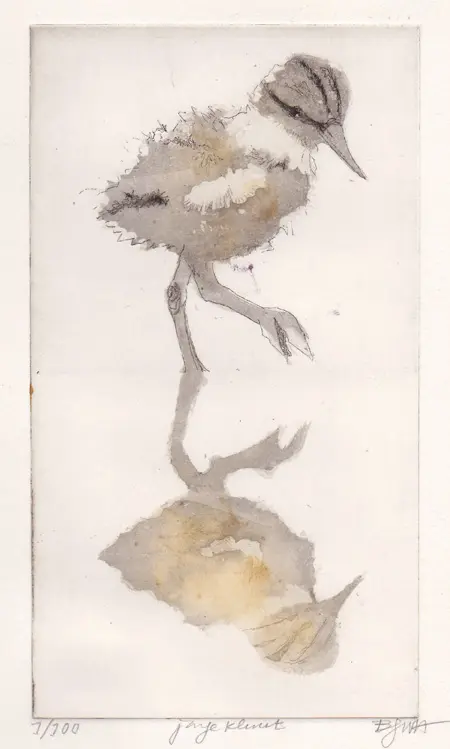 Barbara Wichers Hoeth, Jonge Kluut, 225 euro, Etching in frame with glass, 20x10 in frame, 26x20 cm