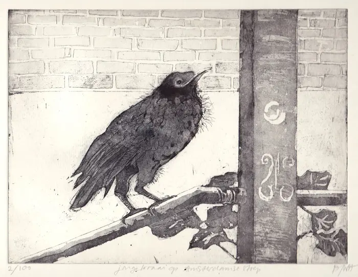 Barbara Wichers Hoeth, Jonge kraai op Amsterdamse stoep, 275 euro, Etching in frame with glass, image 20x40 cm total 30x40 cm