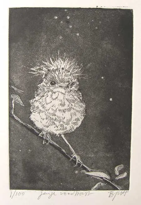 Barbara Wichers Hoeth, Jonge roodborst, 225 euro, Etching in frame with glass, 12x18 cm