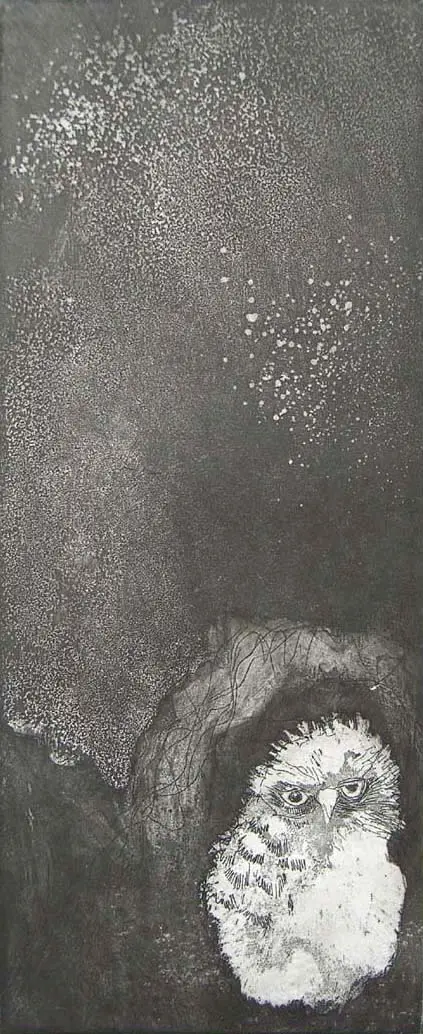 Barbara Wichers Hoeth, Jonge Steenuil in de nacht, 225 euro, Etching in frame with glass, 30x19cm