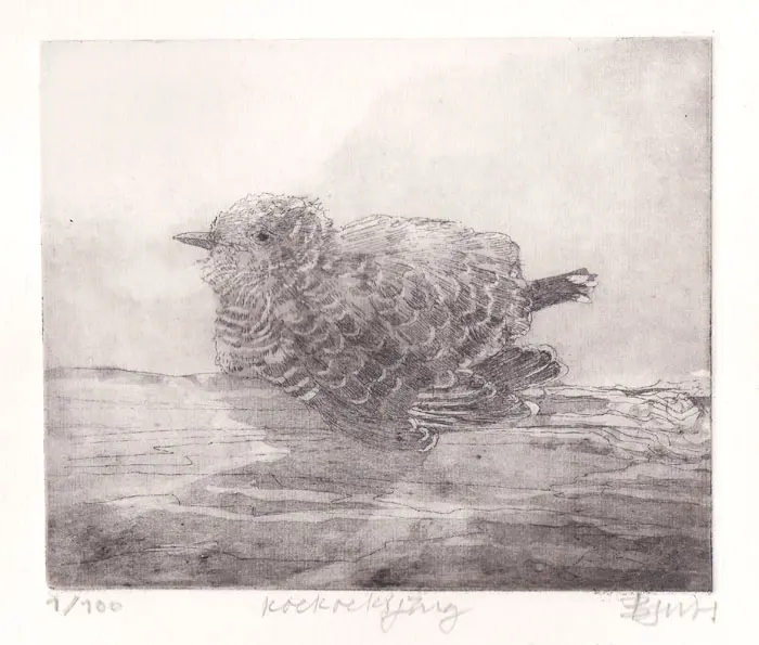 Barbara Wichers Hoeth, Koekoeksjong, 225 euro, Etching in frame with glass, 20x25 cm