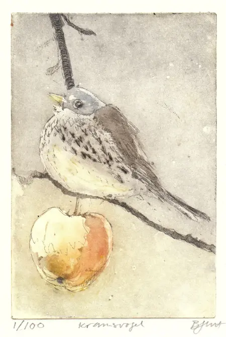 Barbara Wichers Hoeth, Kramsvogel, 225 euro, Etching in frame with glass, 25x21 cm