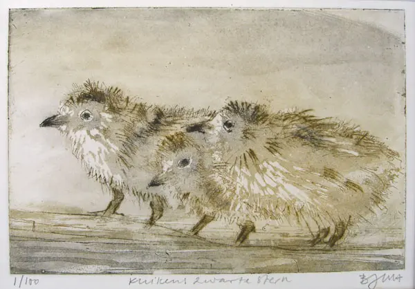 Barbara Wichers Hoeth, Kuikens, 225 euro, Etching in frame with glass, 12x20 cm