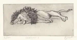 Barbara Wichers Hoeth, Leeuw 1, 225 euro, Etching in frame with glass, 30x20 cm