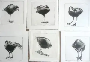 Barbara Wichers Hoeth, Meerkoeten 1 t/m 6, 275 euro, Etching in frame with glass, 30x20 cm