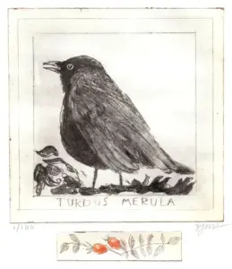 Barbara Wichers Hoeth, Merel, 225 euro, Etching in frame with glass, 20x20 cm