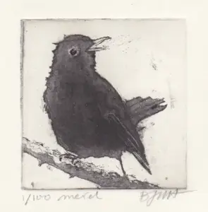 Barbara Wichers Hoeth, Merel, 225 euro, Etching in frame with glass, 7x7 cm/20x20 cm