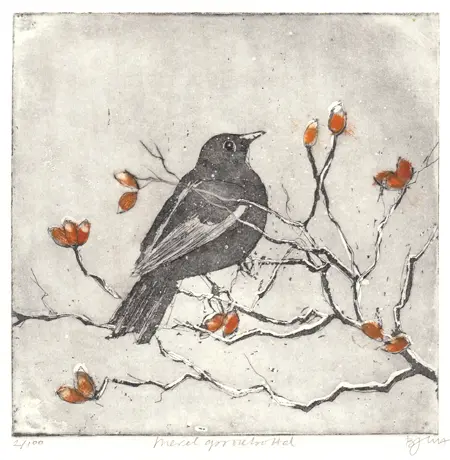 Barbara Wichers Hoeth, Merel op rozenbottel, Etching in iron frame with glass, 20x20 cm, €.195,-