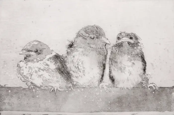 Barbara Wichers Hoeth, Mussen, 225 euro, Etching in frame with glass, 18x24 cm
