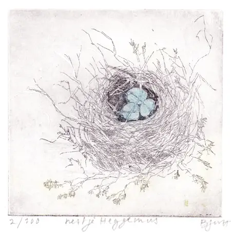 Barbara Wichers Hoeth, Nestje Heggemus, 225 euro, Etching in frame with glass, 20x25 frame