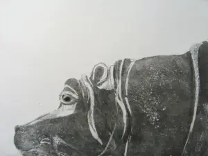 Barbara Wichers Hoeth, Nijlpaard groot, 225 euro, Etching in frame with glass, 30x40 cm