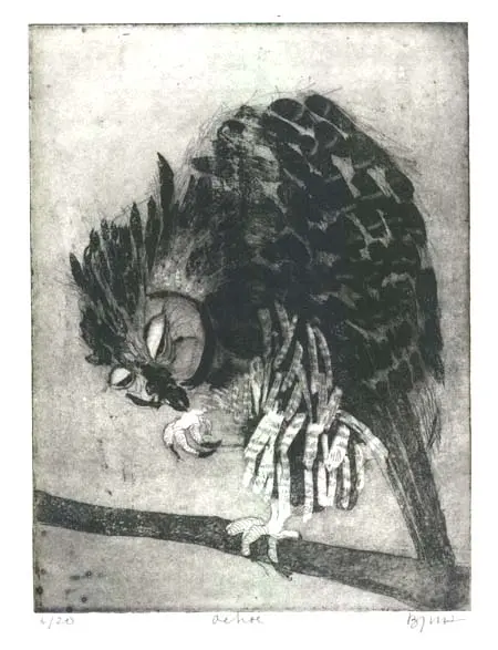 Barbara Wichers Hoeth, Oehoe, 225 euro, Etching in frame with glass, 30x40 cm