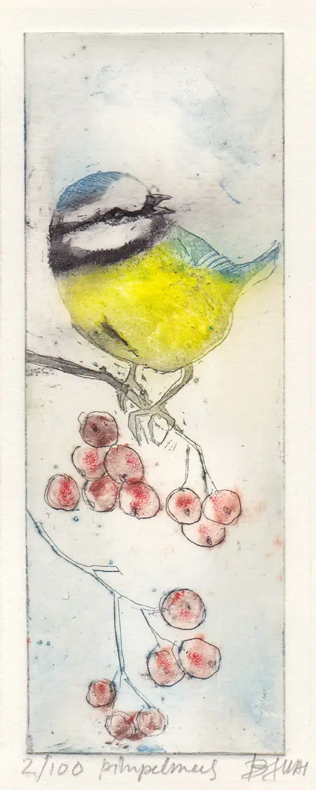 Barbara Wichers Hoeth, Pimpelmees, 225 euro, Etching in frame with glass