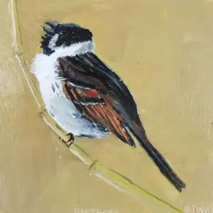 Barbara Wichers Hoeth, Riet gors, Oil on wood, 12x12 cm, €.125,-