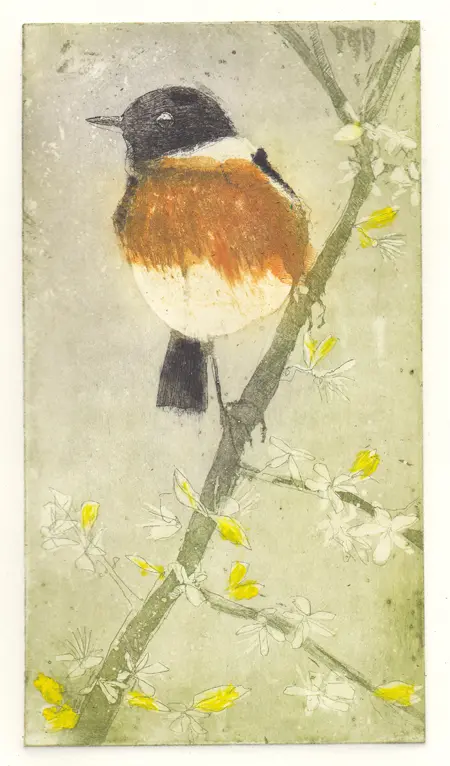 Barbara Wichers Hoeth, Roodborst Tapuit, 225 euro, Etching in frame with glass, 30x20 cm