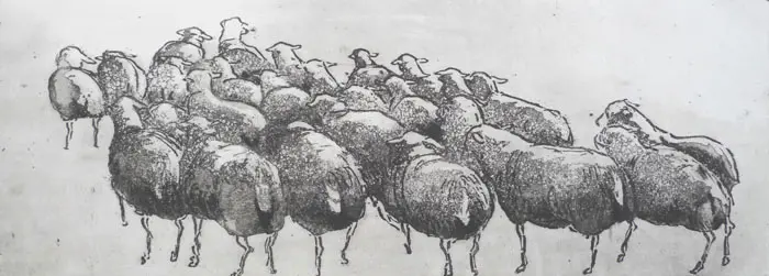 Barbara Wichers Hoeth, Schapen, 275 euro, Etching in frame with glass, 15x40 cm