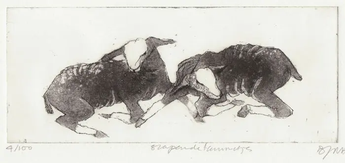 Barbara Wichers Hoeth, Slapende Lammetjes,225 euro, Etching in frame with glass, 18x30 cm