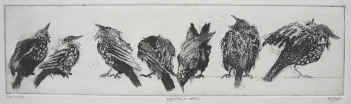 Barbara Wichers Hoeth, Spreeuwen, Etching in iron frame with glass, 10x38 cm, €.240,-