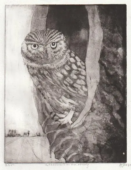 Barbara Wichers Hoeth