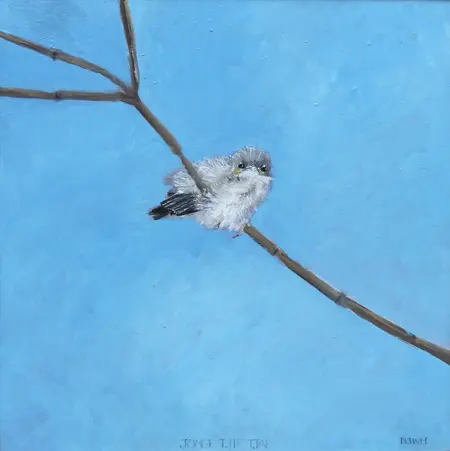 Barbara Wichers Hoeth, Tjiftjaf, Oil on panel, 30x30 cm, €.375,-