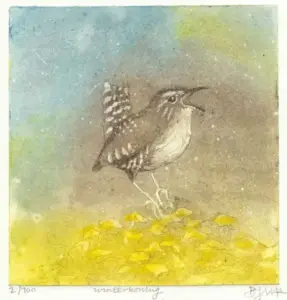 Barbara Wichers Hoeth, Winterkoning op brem, 225 euro, Etching in frame with glass, 25x25 cm