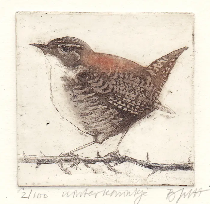 Barbara Wichers Hoeth, Winterkoninkje, 225 euro, Etching in frame with glass, 7x7 cm/20x20 cm