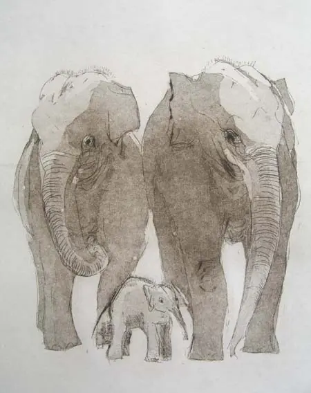 Barbara Wichers Hoeth, Yindee II, 225 euro, Etching in frame with glass, 20x24 cm