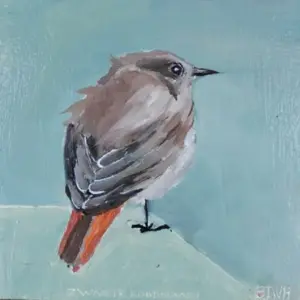 Barbara Wichers Hoeth, Zwarte Roodstaart, Oil on wood, 12x12 cm, €.125,-