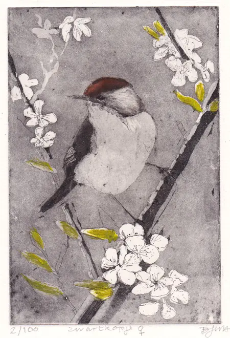 Barbara Wichers Hoeth, Zwartkop vrouwtje, 225 euro, Etching in frame with glass, 25x21 cm