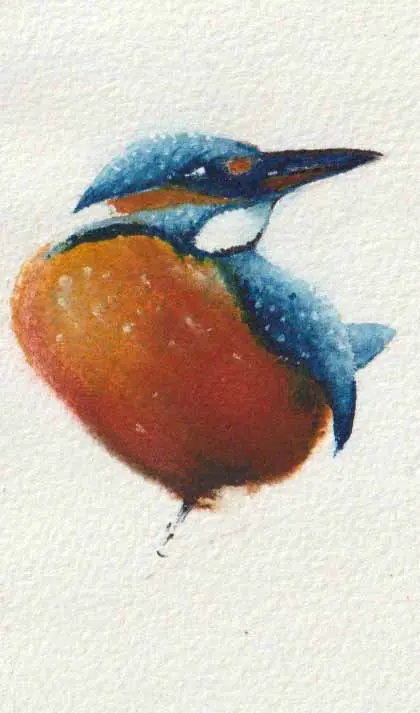 Jan Thiecke, IJsvogel, 50 euro, Watercolour on paper in mount, unframed, 12x7 cm
