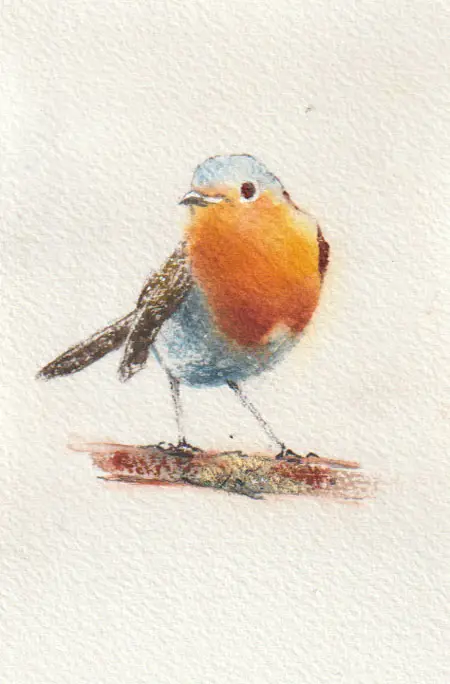 Jan Thiecke, Roodborstje, 50 euro, Watercolour on paper in mount, unframed, 12x7 cm