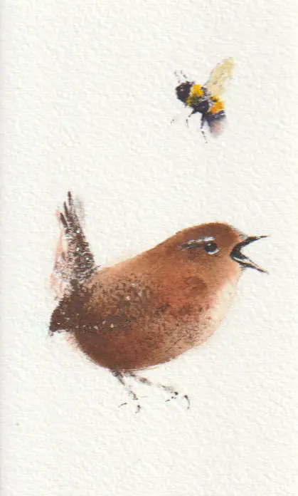 Jan Thiecke, Winterkoninkjel, 50 euro, Watercolour on paper in mount, unframed, 12x7 cm