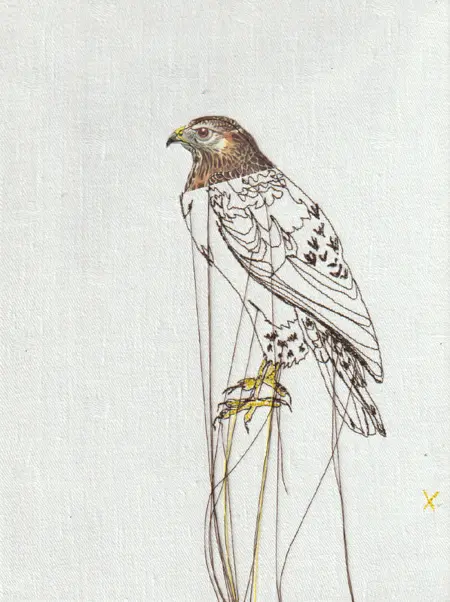 Judith Koning, Buizerd, 125 euro, Mixed media on vintage damask, unframed, 23x18 cm