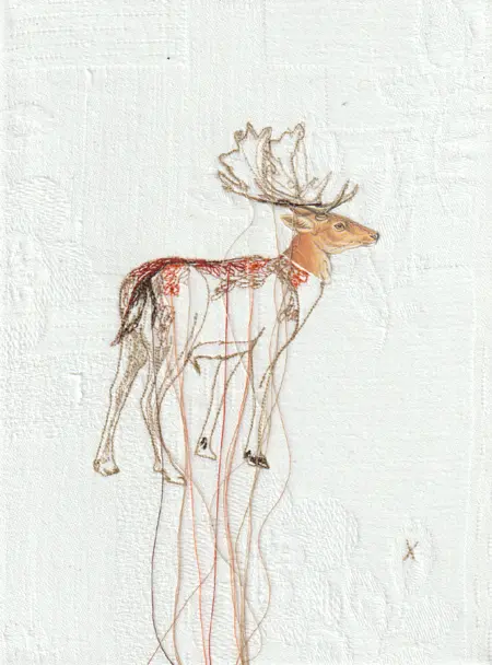 Judith Koning · Damhert