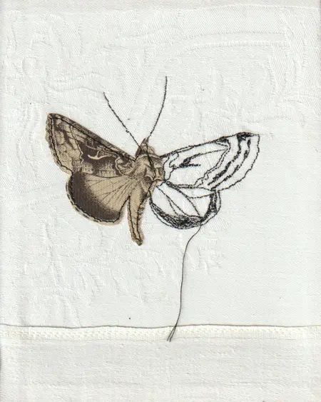 Judith Koning, Gamma uiltje vlinder, 95 euro, Mixed media on damask, unframed, 14x17,5 cm