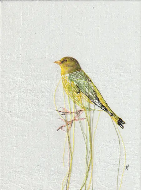 Judith Koning, Groenling, 125 euro, Mixed media on vintage damask, unframed, 23x18 cm