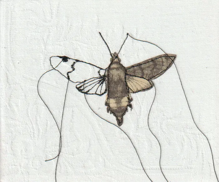 Judith Koning, Kolibrivlinder, 95 euro, Mixed media on damask, unframed, 13x15 cm