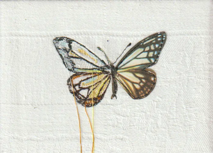 Judith Koning, Monarch vlinder, 75 euro, Mixed media on damask, unframed, 12x9 cm