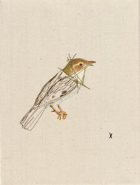 Judith Koning, Nachtegaal, 125 euro, Mixed media on damask, unframed, 24x18 cm