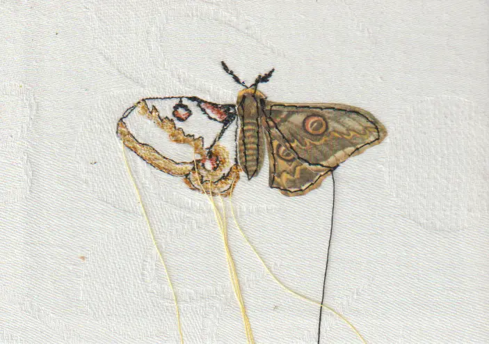 Judith Koning, Nachtpauwoog vlinder, 75 euro, Mixed media on damask, unframed, 12x9 cm