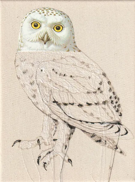Judith Koning, Steenuil, 175 euro, Mixed media on linen, unframed, 24x18 cm