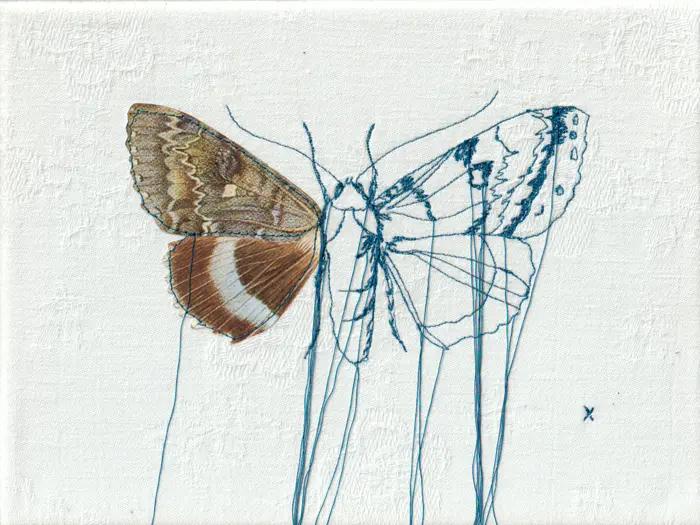 Judith Koning, Vlinder, 125 euro, Mixed media on vintage damask, unframed, 23x18 cm